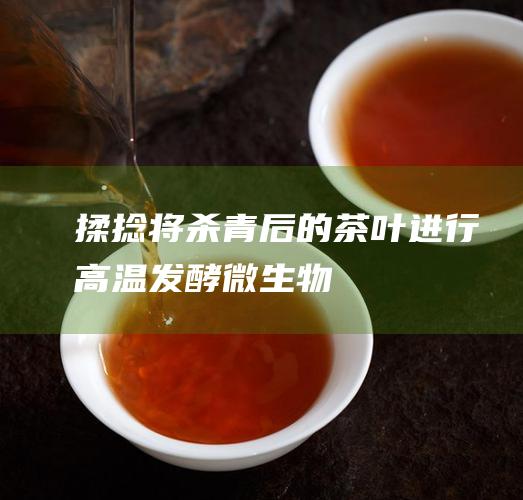 揉捻：将杀青后的茶叶进行高温 || 发酵微生物 | 多样 | 少数 || 色泽 | 黑褐色 | 金黄色 || 香气 | 陈香 | 浓香 || 滋味 | 醇厚回甘 | 浓烈刺激 | 总结广西六堡茶的发酵方式主要分为自然发酵和人工发酵，两种方式各具特色。自然发酵的六堡茶具有陈香醇厚、回味悠长的特点，而人工发酵的六堡茶具有浓香刺激、醒神提神的特点。随着工艺的不断改进和创新，六堡茶的发酵方式也在不断发展和完善，为六堡茶的品质和口感提供了更丰富的选择。