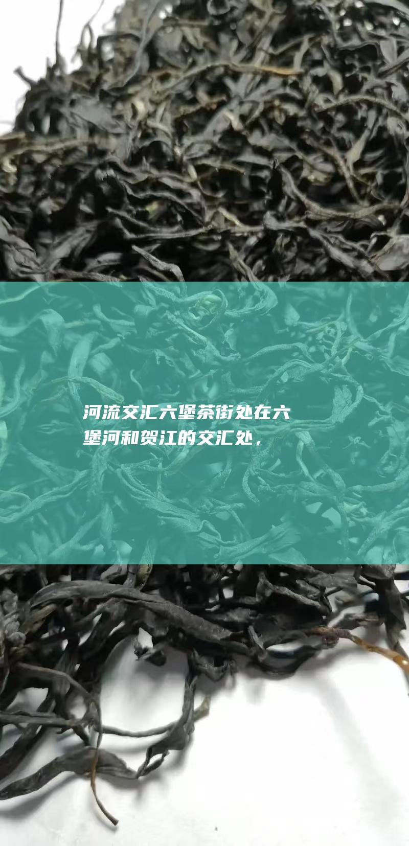 河流交汇：六堡茶街处在六堡河和贺江的交汇处，水资源丰富。