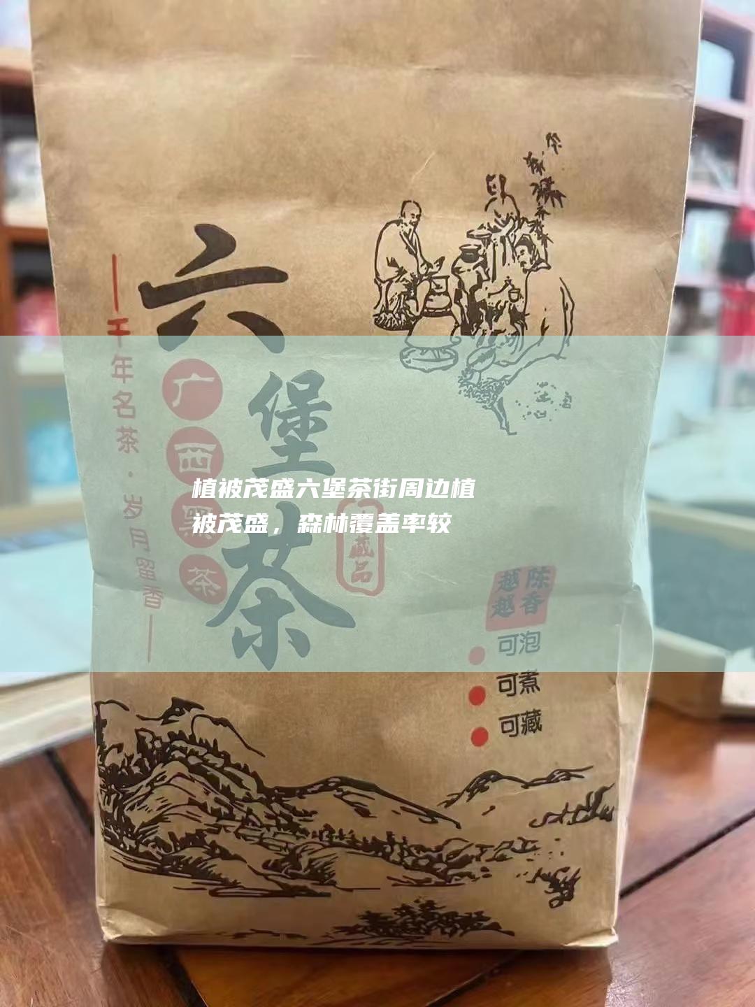 植被茂盛六堡茶街周边植被茂盛，森林覆盖率较