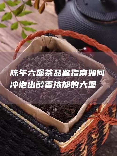 陈年六堡茶品鉴指南：如何冲泡出醇香浓郁的六堡茶