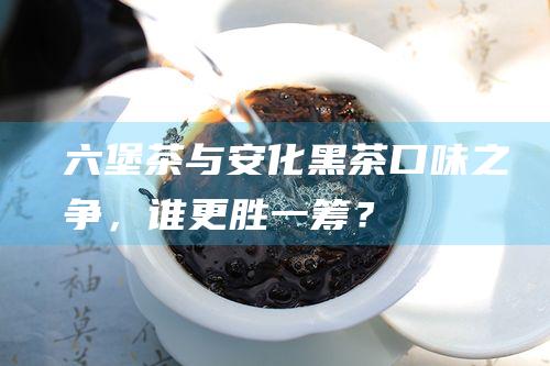 六堡茶与安化黑茶：口味之争，谁更胜一筹？