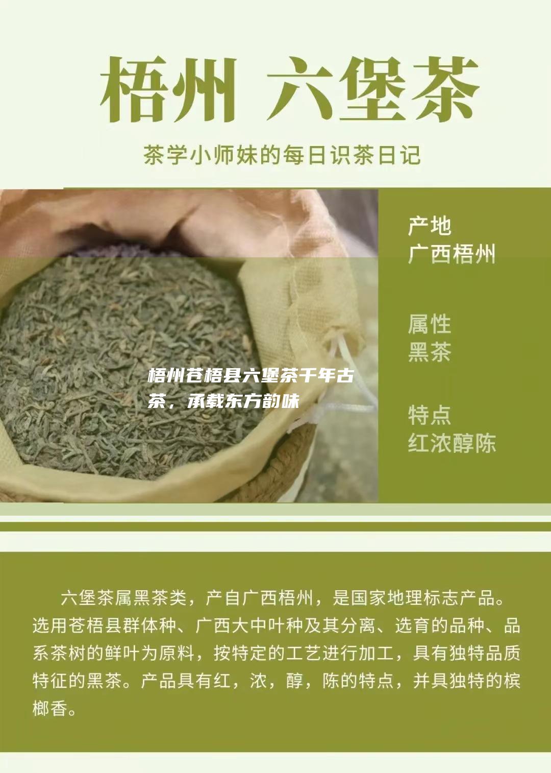 梧州苍梧县六堡茶：千年古茶，承载东方韵味