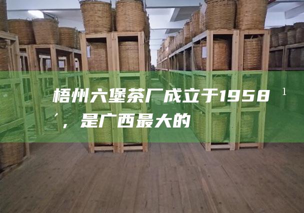 梧州六堡茶厂：成立于1958年，是广西最大的六堡茶生产企业。其生产的六堡茶种类齐全，品质稳定，在市场上享有盛誉。