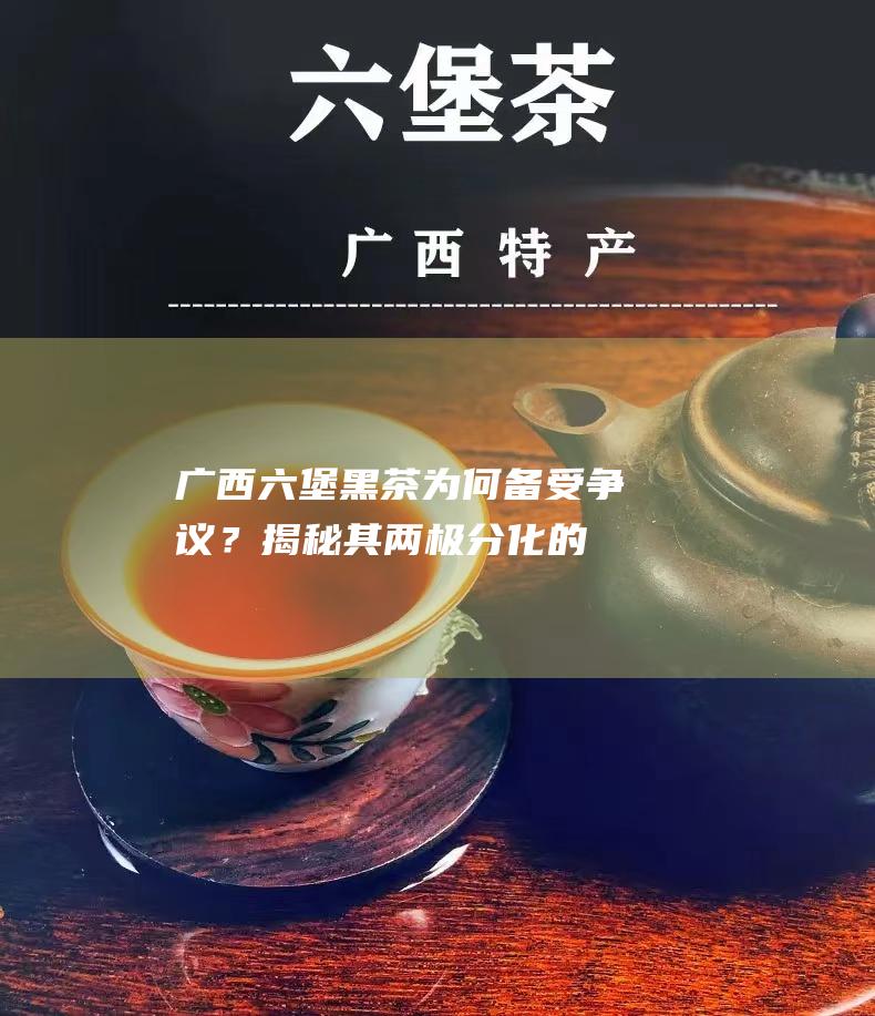 广西六堡黑茶：为何备受争议？揭秘其两极分化的口感体验