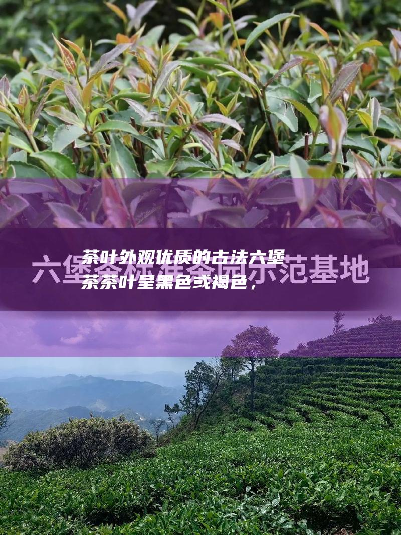 茶叶外观：优质的古法六堡茶茶叶呈黑色或褐色，条索紧结，色泽均匀。