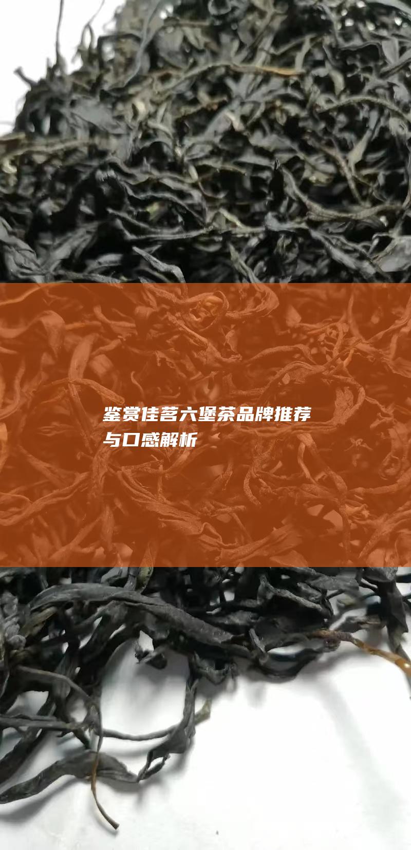 鉴赏佳茗：六堡茶品牌推荐与口感解析