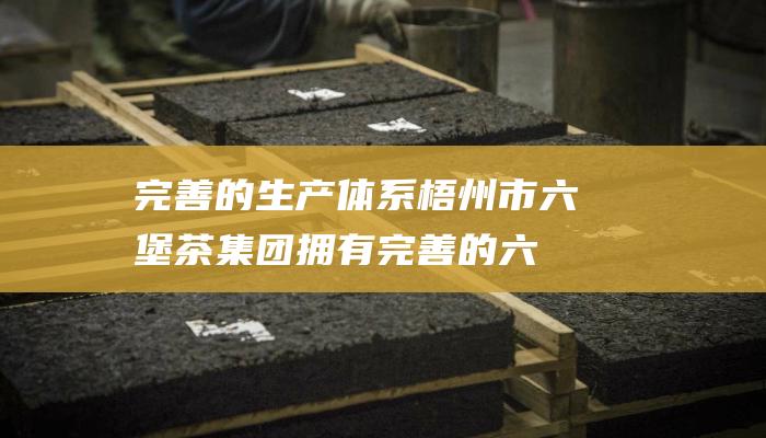 完善的生产体系：梧州市六堡茶集团拥有完善的六堡茶生产体系，从茶叶种植到加工销售，都严格按照国家标准和集团公司的质量控制体系进行。集团公司还拥有先进的六堡茶加工设备和技术，确保六堡茶的品质稳定。