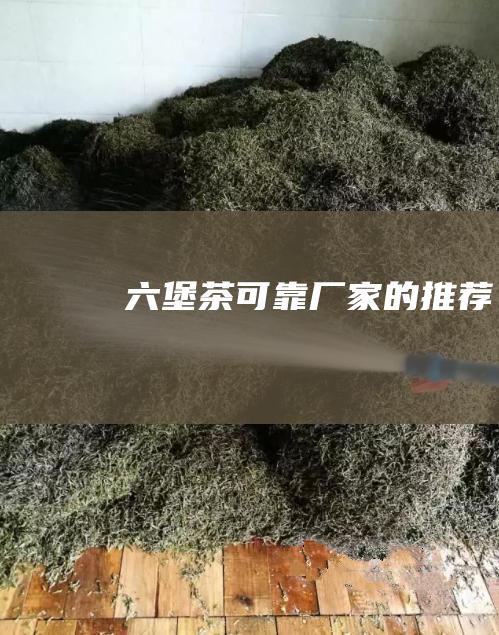 六堡茶：可靠厂家的推荐