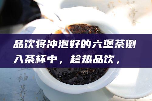 品饮：将冲泡好的六堡茶倒入茶杯中，趁热品饮，感受其醇厚的口感和独特的香气。