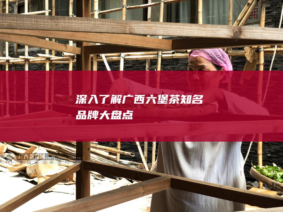 深入了解广西六堡茶：知名品牌大盘点