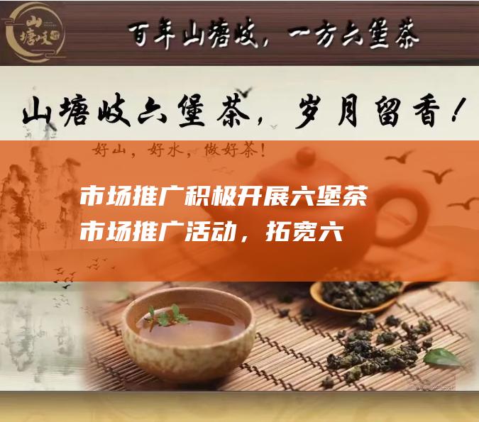 市场推广：积极开展六堡茶市场推广活动，拓宽六堡茶的销售渠道，扩大六堡茶的市场份额。