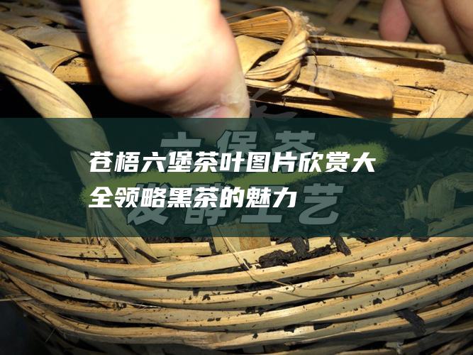 苍梧六堡茶叶图片欣赏大全：领略黑茶的魅力