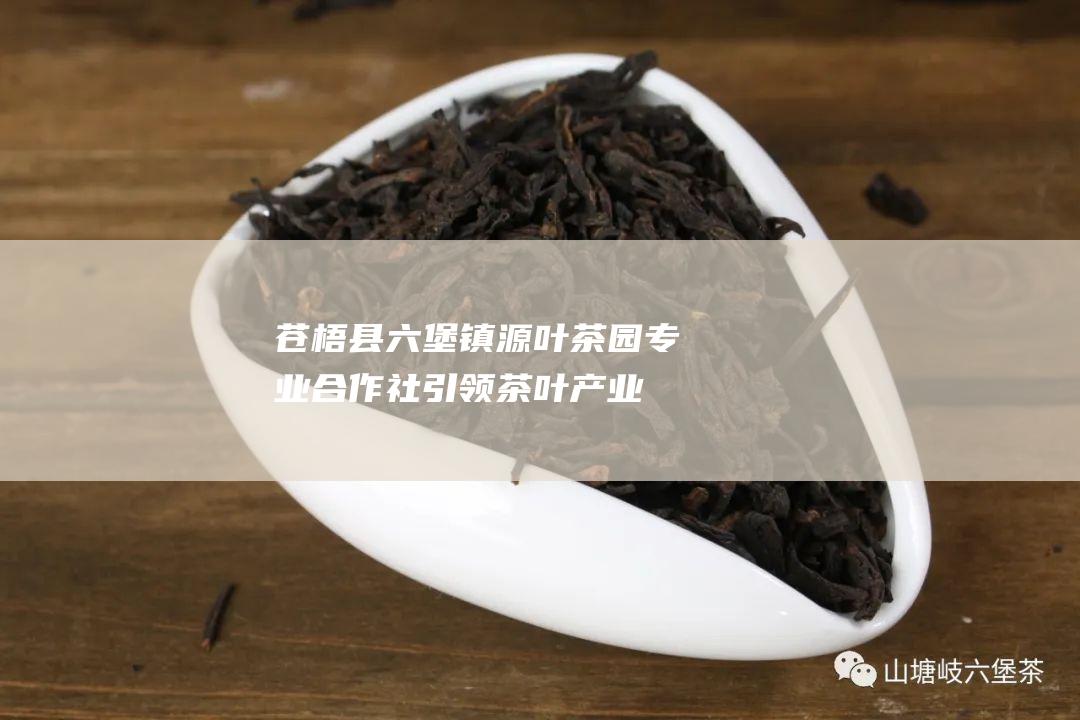 苍梧县六堡镇源叶茶园专业合作社：引领茶叶产业发展，打造生态茶园新格局