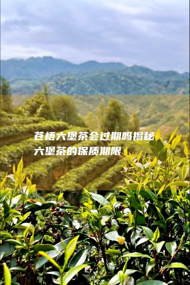 苍梧六堡茶会过期吗：揭秘六堡茶的保质期限