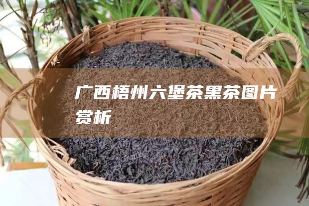 广西梧州六堡茶黑茶图片赏析