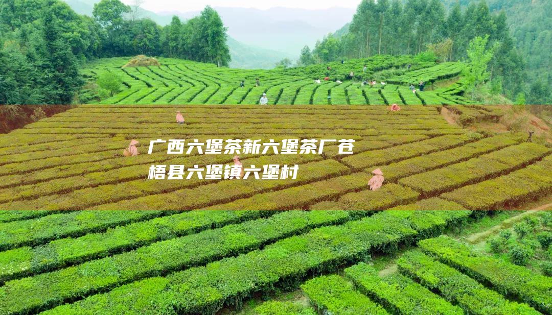 广西六堡茶新六堡茶厂：苍梧县六堡镇六堡村