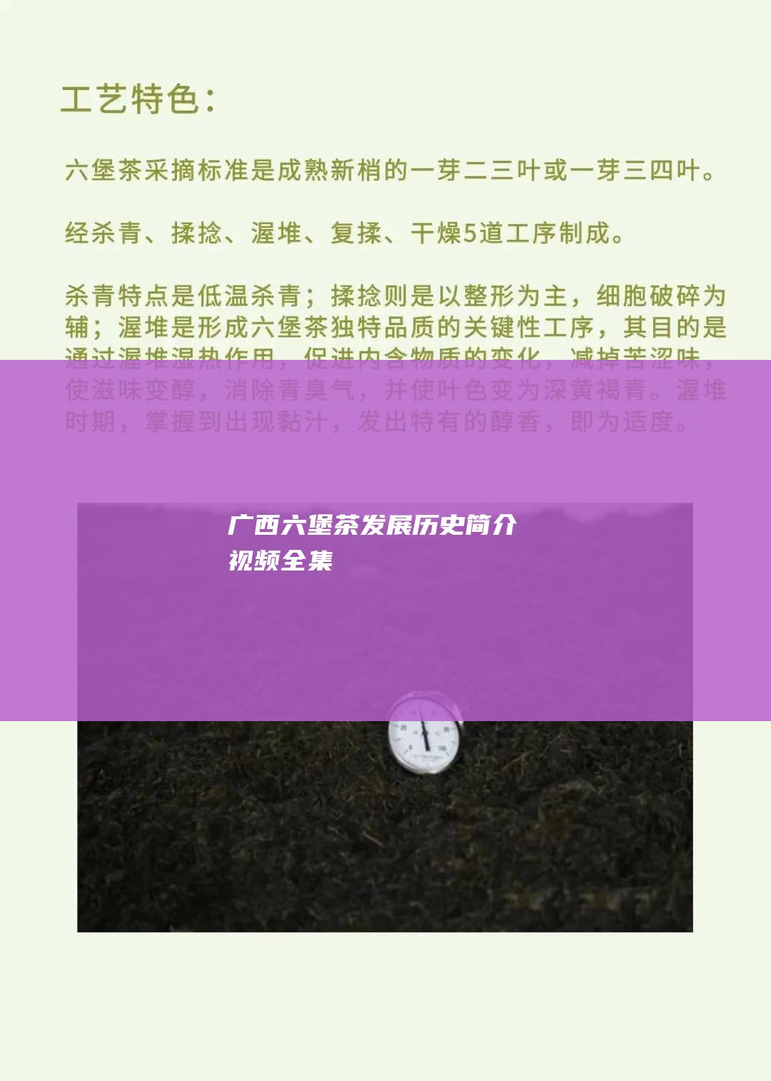 广西六堡茶发展历史简介视频全集