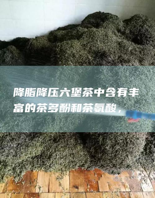 降脂降压：六堡茶中含有丰富的茶多酚和茶氨酸，具有降脂降压的功效。