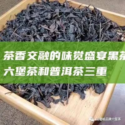 茶香交融的味觉盛宴：黑茶、六堡茶和普洱茶三重奏