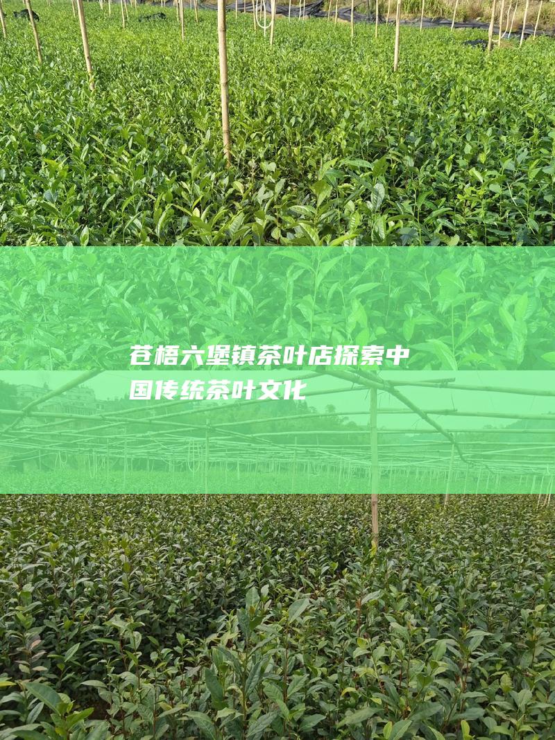 苍梧六堡镇茶叶店：探索中国传统茶叶文化