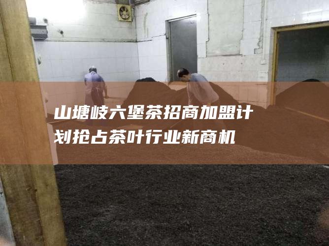 山塘岐六堡茶招商加盟计划：抢占茶叶行业新商机