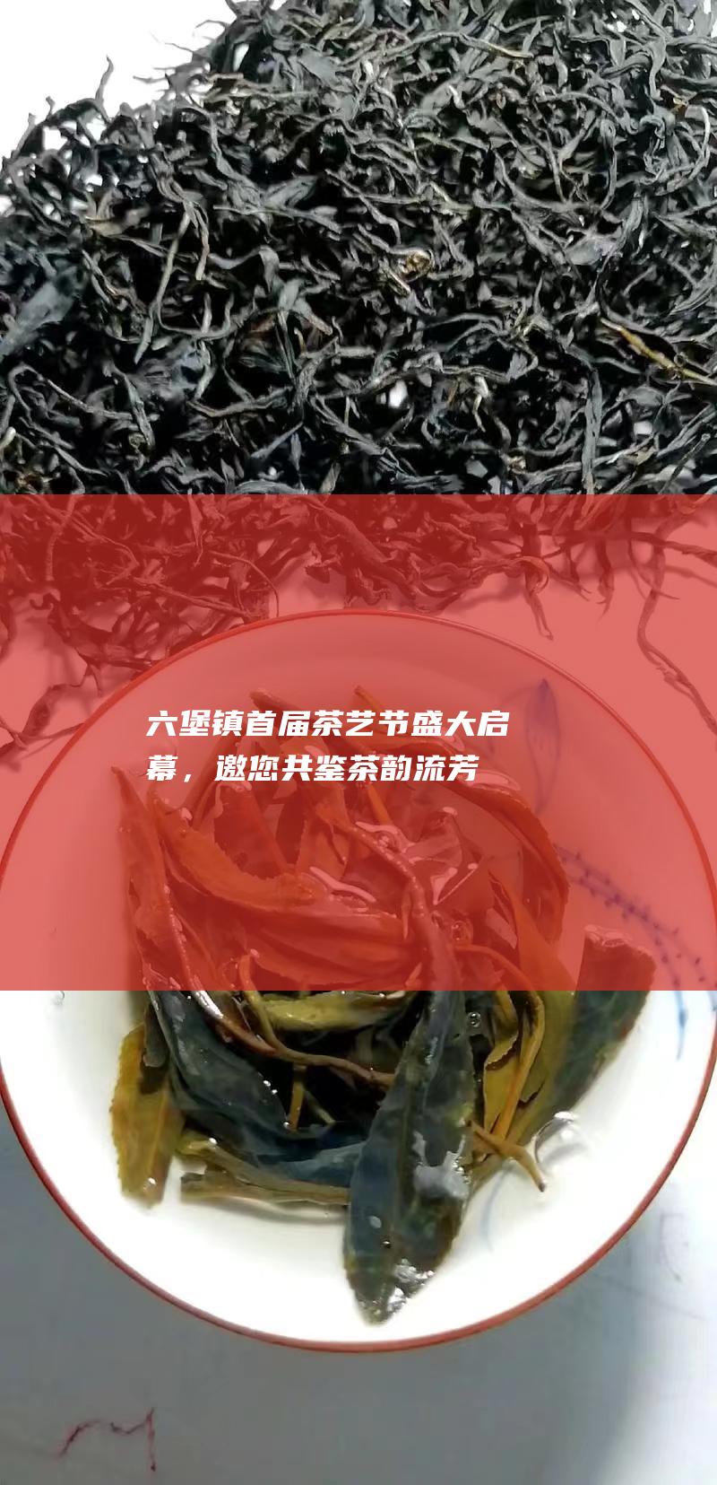 六堡镇首届茶艺节盛大启幕，邀您共鉴茶韵流芳