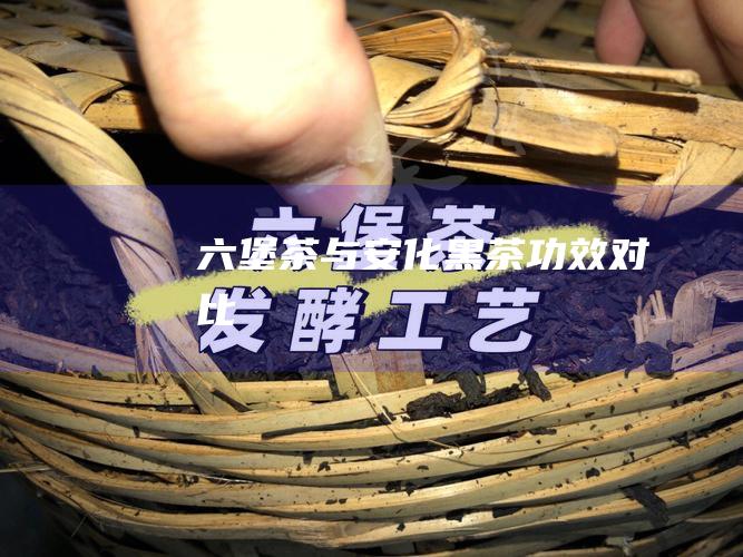 六堡茶与安化黑茶：功效对比