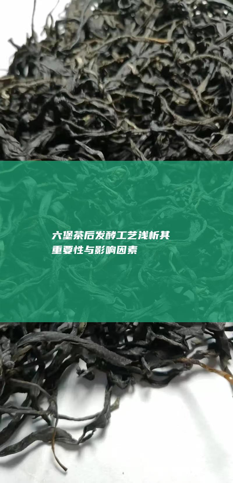 六堡茶后发酵工艺：浅析其重要性与影响因素