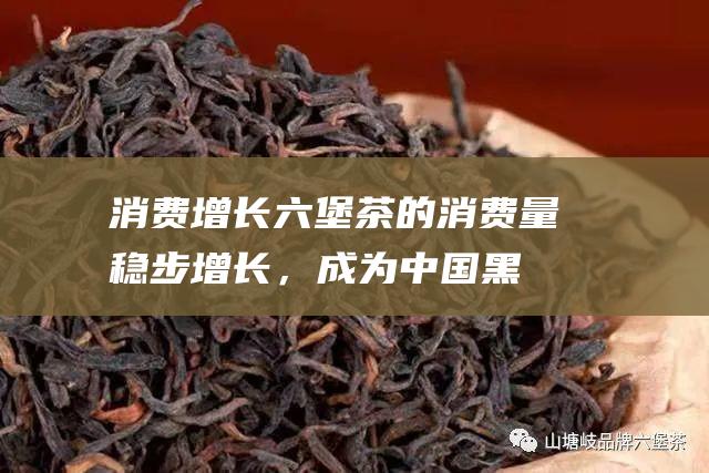 消费增长：六堡茶的消费量稳步增长，成为中国黑茶市场的重要组成部分。