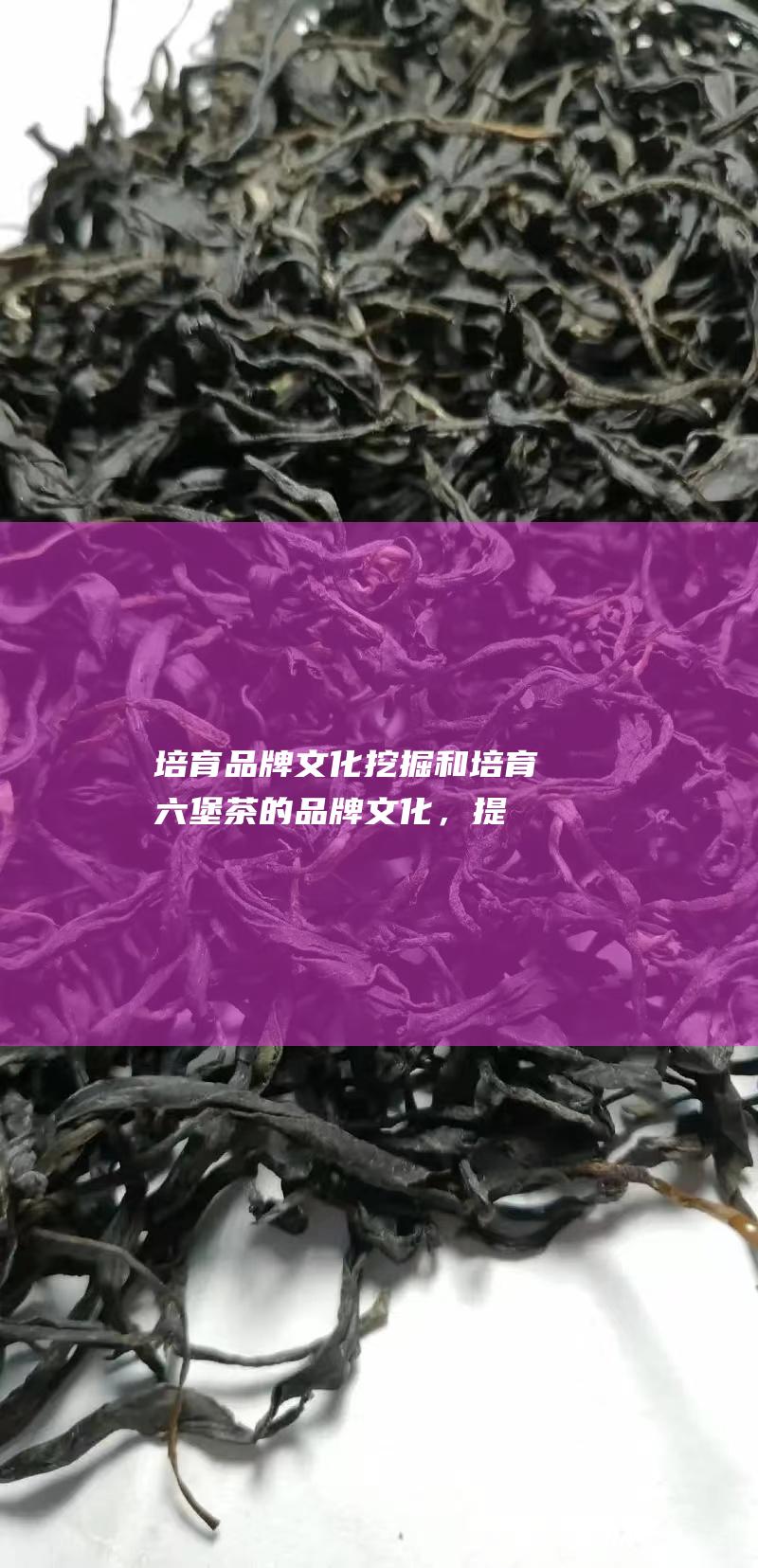 培育品牌文化：挖掘和培育六堡茶的品牌文化，提升其文化底蕴和吸引力。