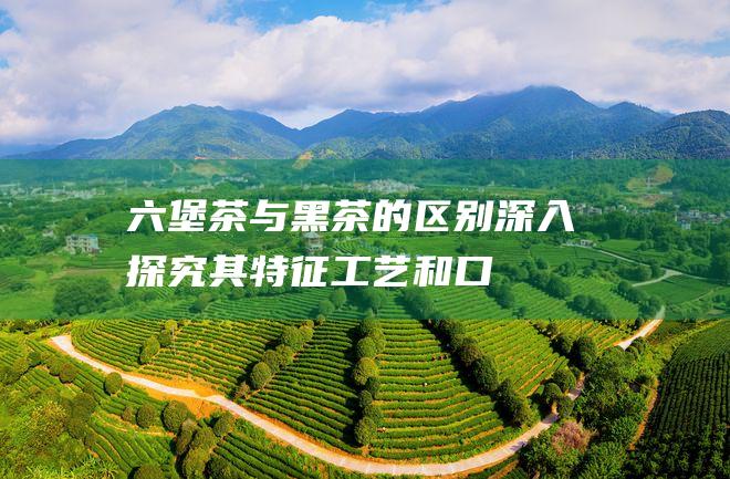 六堡茶与黑茶的区别深入探究其特征工艺和口