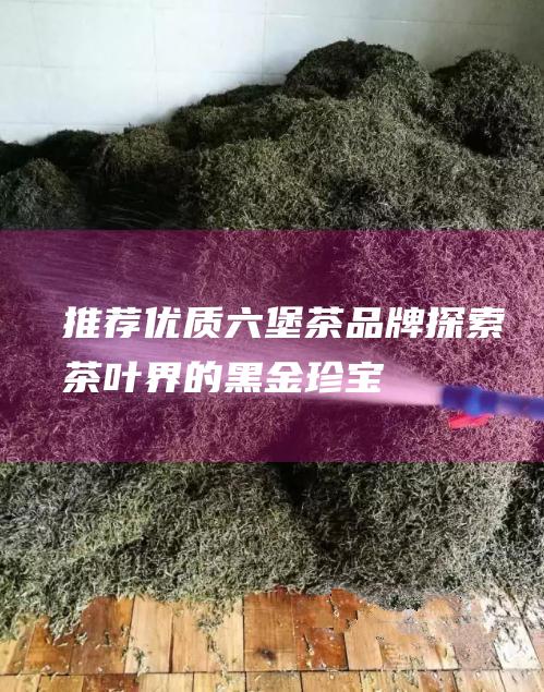 推荐优质茶品牌探索茶叶界的黑金珍宝