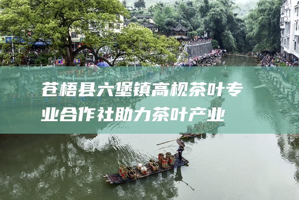 苍梧县六堡镇高枧茶叶专业合作社：助力茶叶产业繁荣发展