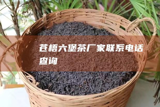 苍梧六堡茶厂家联系电话查询