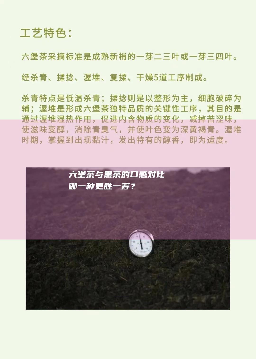 六堡茶与黑茶的口感对比：哪一种更胜一筹？