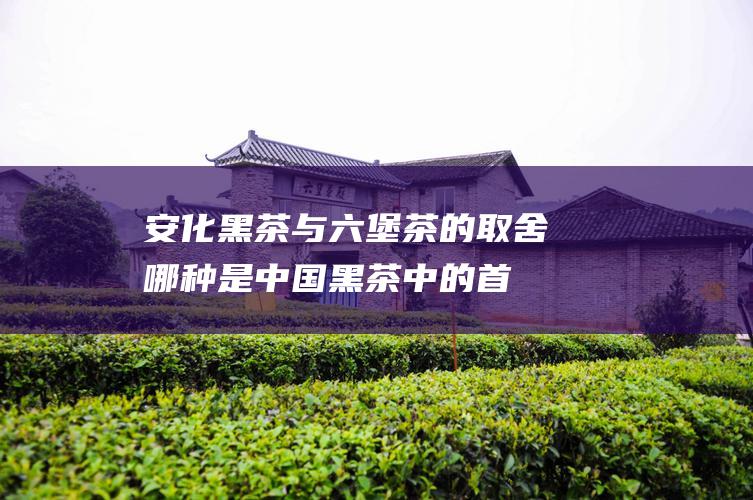 安化黑茶与六堡茶的取舍：哪种是中国黑茶中的首选？