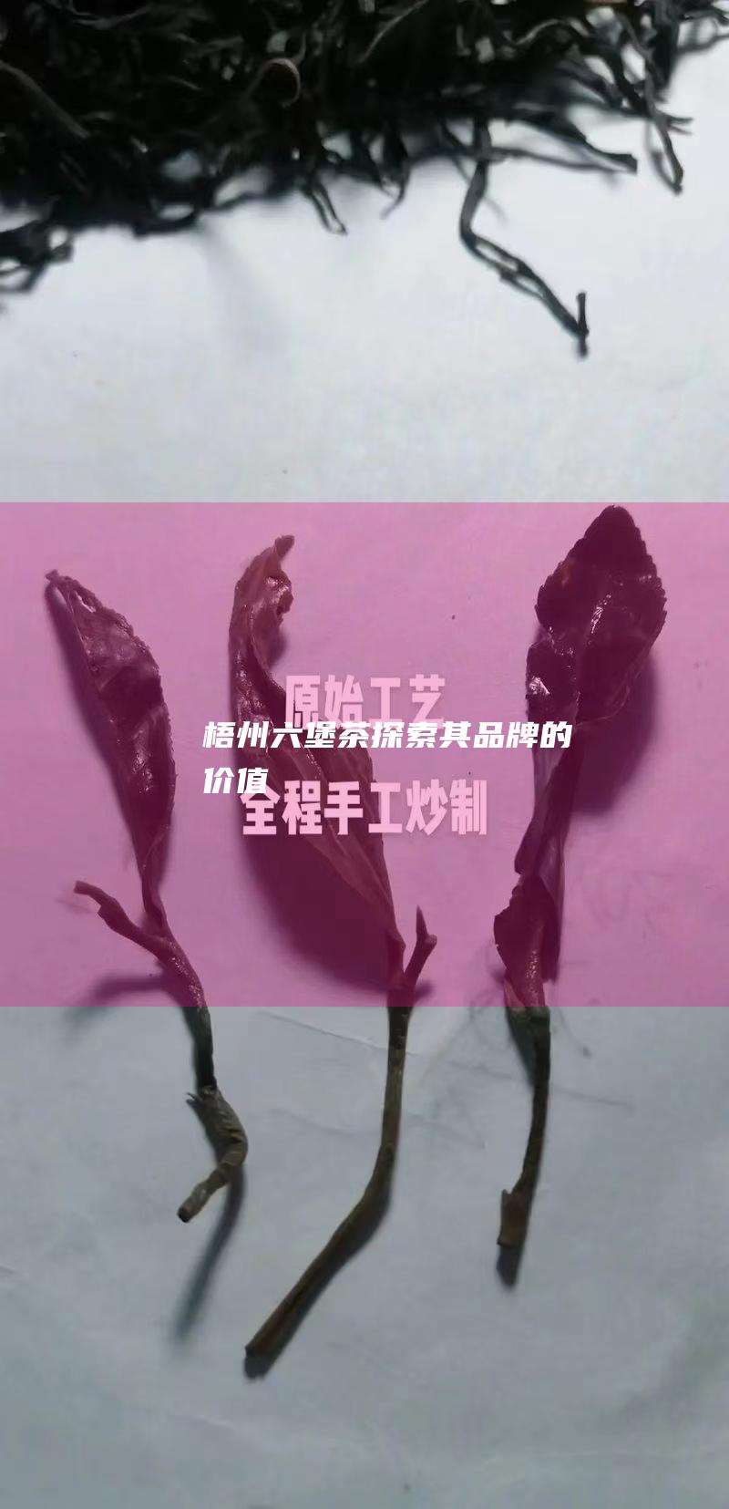 梧州六堡茶：探索其品牌的价值