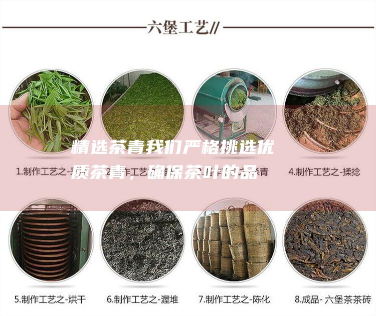 精选茶青：我们严格挑选优质茶青，确保茶叶的品质。