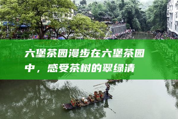 六堡茶园漫步在六堡茶园中，感受茶树的翠绿清