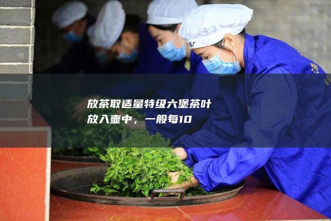 放茶：取适量特级六堡茶叶放入壶中，一般每100毫升水放5-8克茶叶。