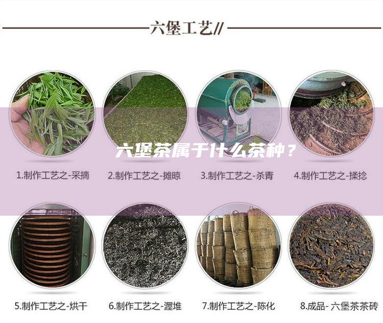 六堡茶：属于什么茶种？