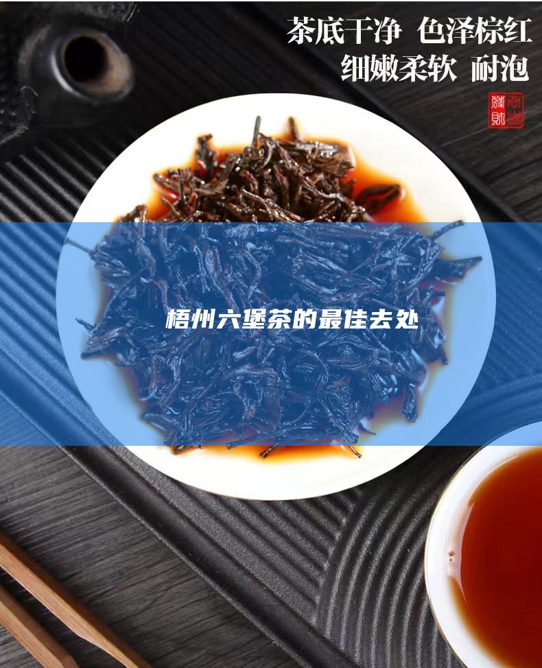 梧州六堡茶的最佳去处