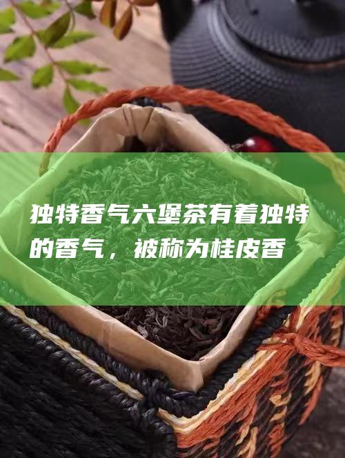 独特香气六堡茶有着独特的香气，被称为桂皮香