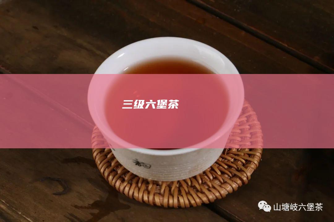 三级六堡茶