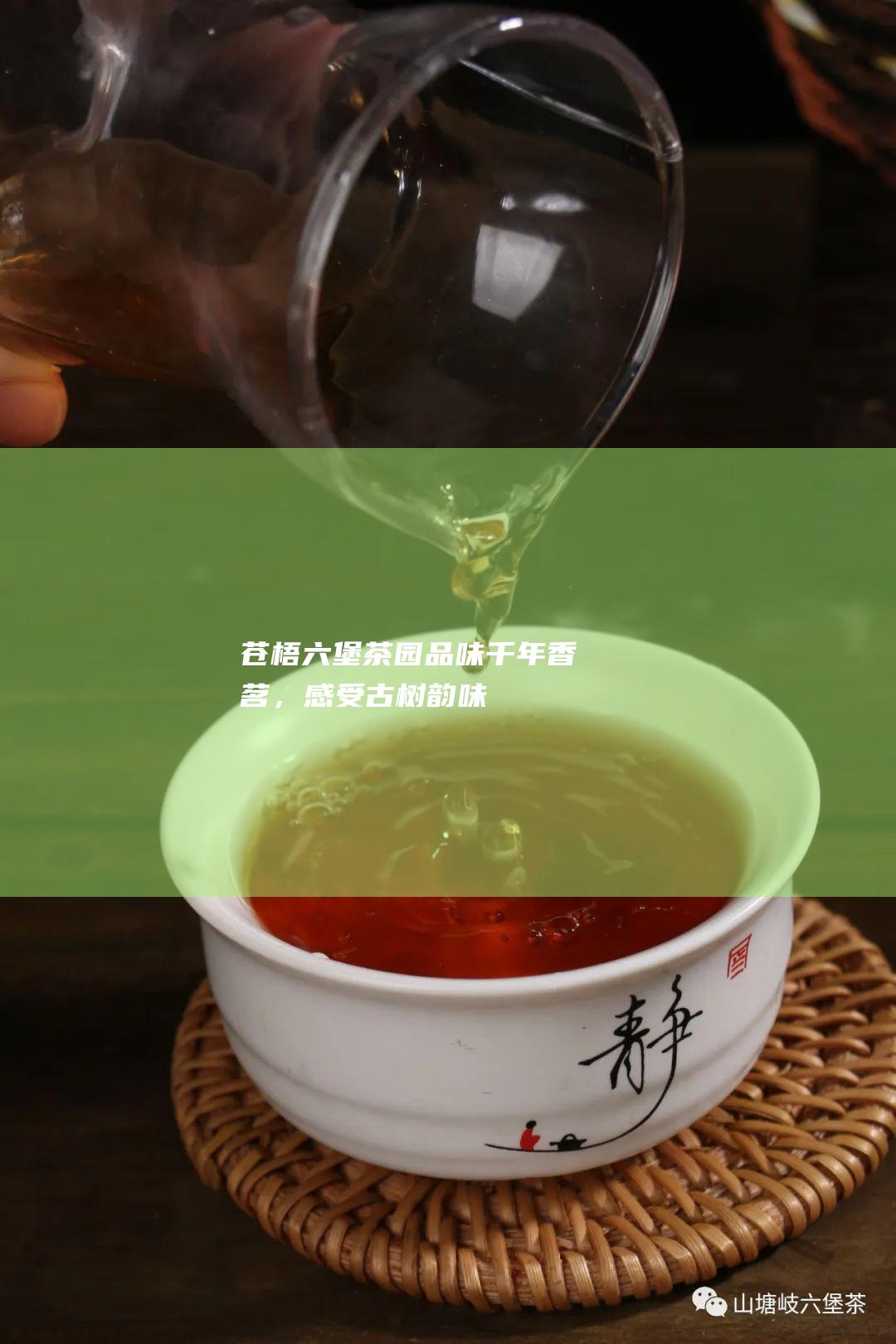 苍梧六堡茶园：品味千年香茗，感受古树韵味