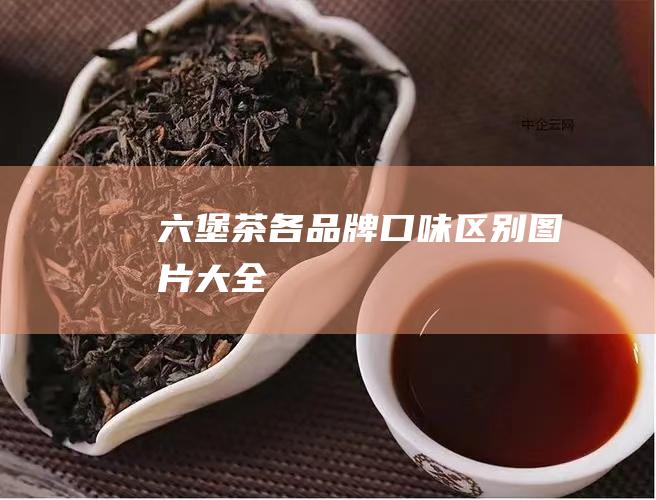 六堡茶各品牌口味区别图片大全