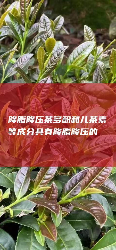 降脂降压： 茶多酚和儿茶素等成分具有降脂降压的功效，有助于预防心血管疾病。