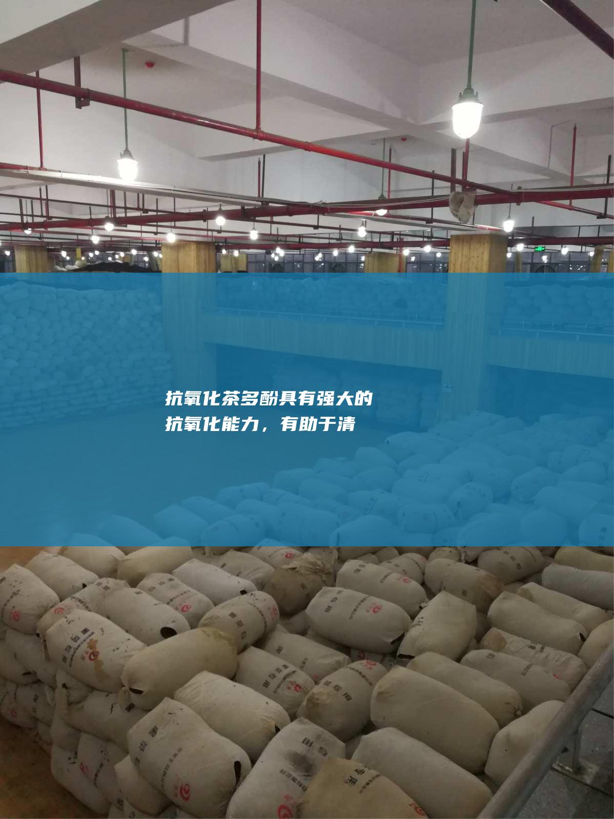 抗氧化： 茶多酚具有强大的抗氧化能力，有助于清除自由基，延缓衰老。