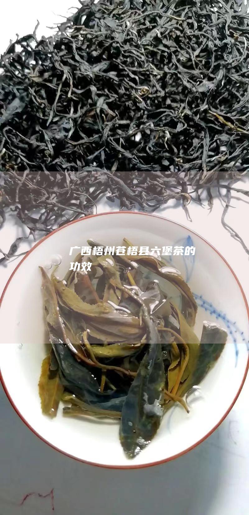 广西梧州苍梧县六堡茶的功效