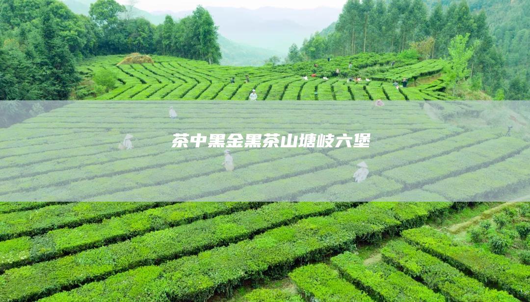 茶中黑金：黑茶山塘岐六堡